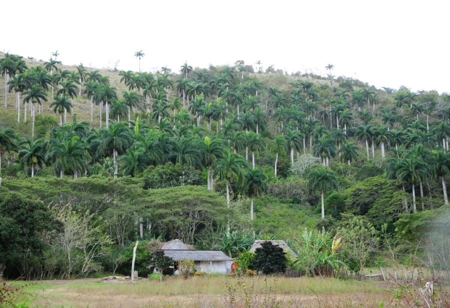 sancti spiritus, medio ambiente, bamburanao, guamuhaya, pnud, programa de las naciones unidas para el desarrollo