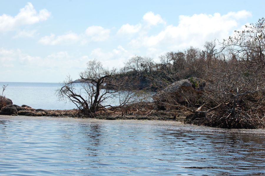 Caguanes, medio ambiente, recuperación, Yaguajay, Sancti Spíritus