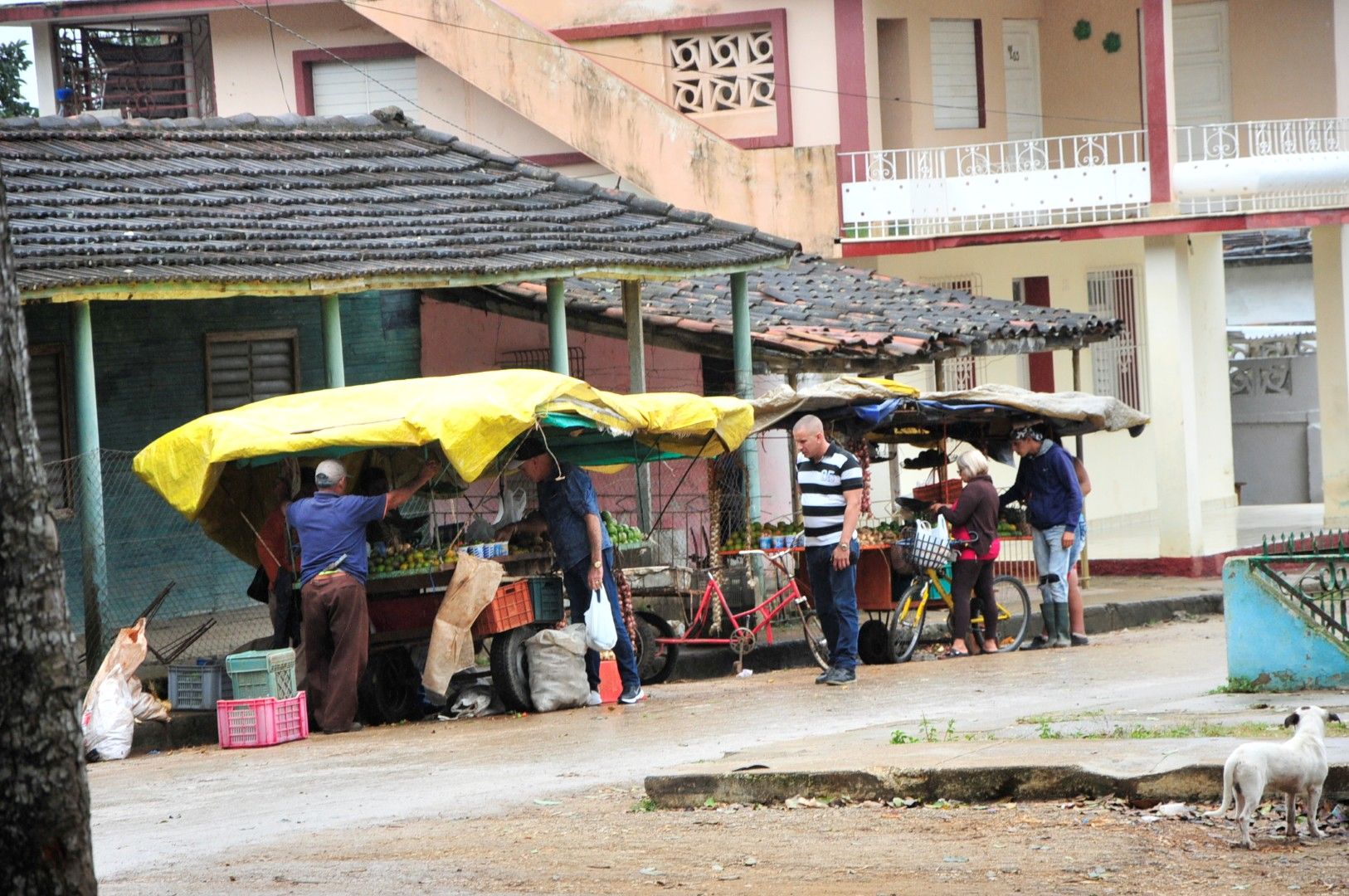 sancti spiritus, cabaiguan, precios alimentos, precios, mercado agropecuario estatal, mae