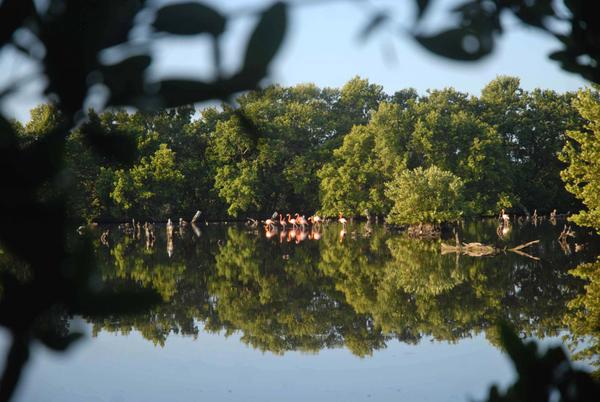 Caguanes, medio ambiente, Yaguajay, Sancti Spíritus