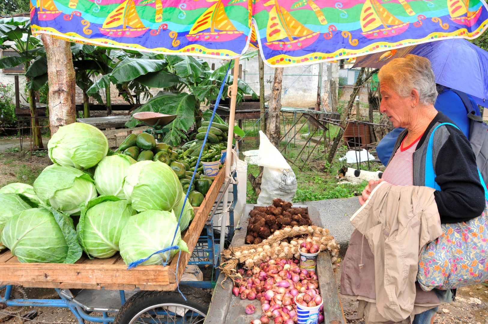 sancti spiritus, cabaiguan, precios alimentos, precios, mercado agropecuario estatal, mae