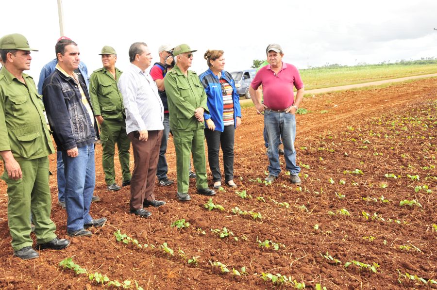 sancti spiritus, construccion de viviendas, materiales de la construcción, joaquin quintas sola, yaguajay, huracan irma