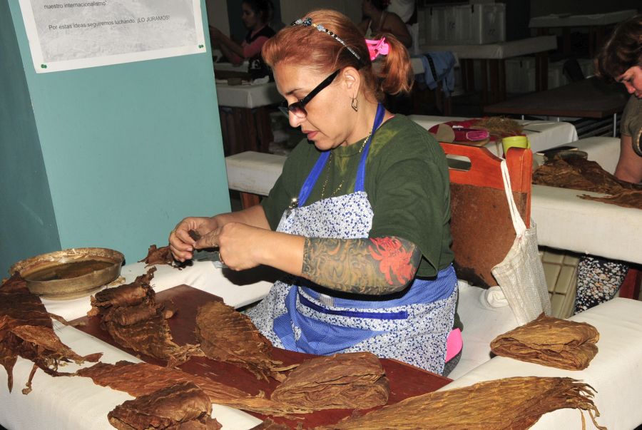 cabaiguan, hoja de tabaco, tabaqueras, fabrica de tabaco