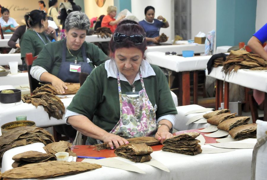 cabaiguan, hoja de tabaco, tabaqueras, fabrica de tabaco