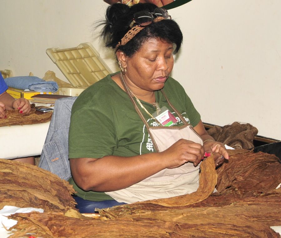 cabaiguan, hoja de tabaco, tabaqueras, fabrica de tabaco