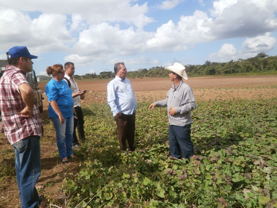 sancti spiritus, produccion de alimentos, cabaiguan