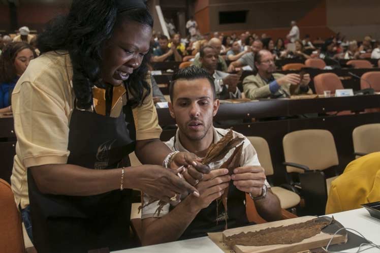 cuba, festival del habano, habanos cubanos