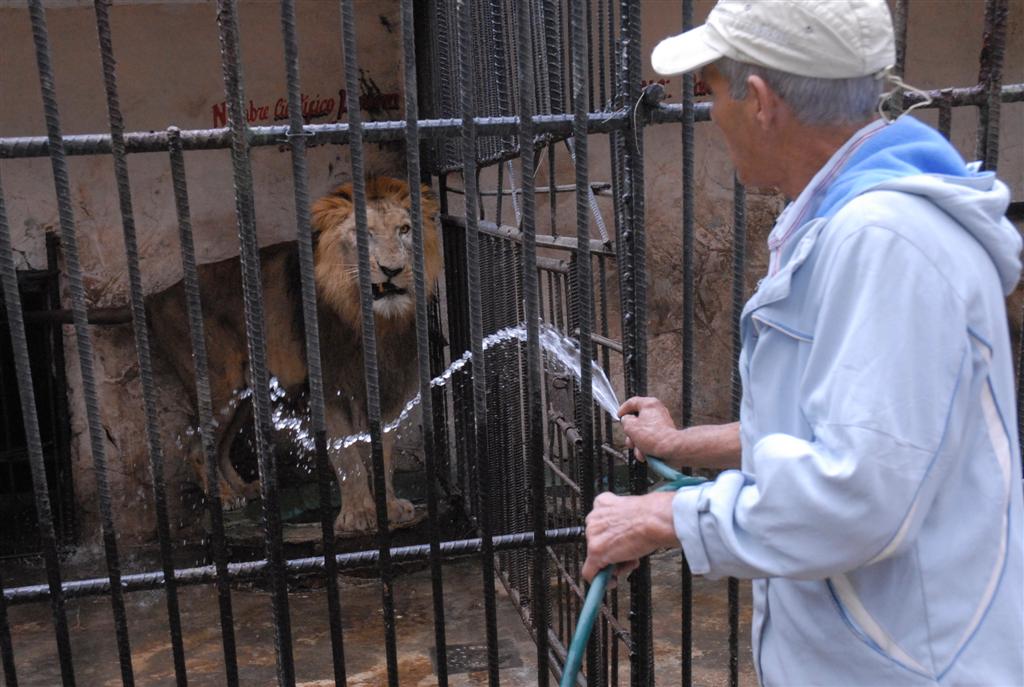 sancti spiritus, zoologico