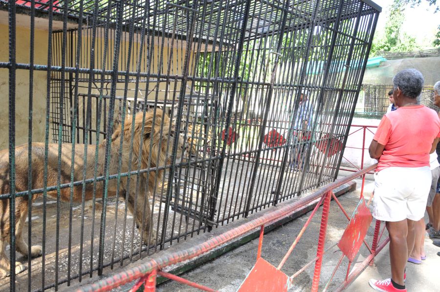 sancti spiritus, zoologico