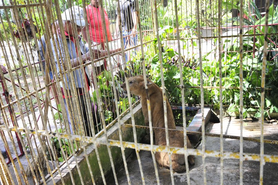 sancti spiritus, zoologico