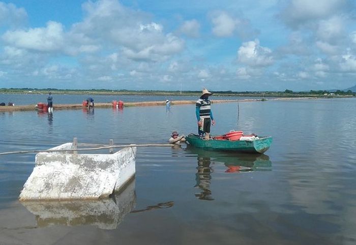 sancti spiritus, camaron, cultizaza, pesca