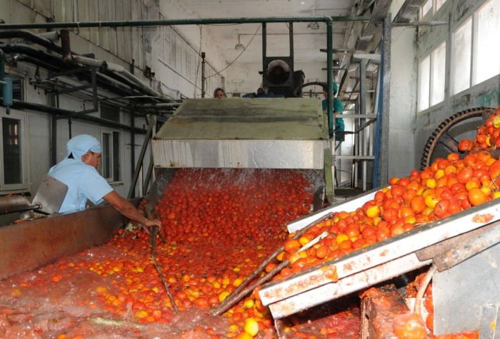 tomate, conservas, Sancti Spíritus