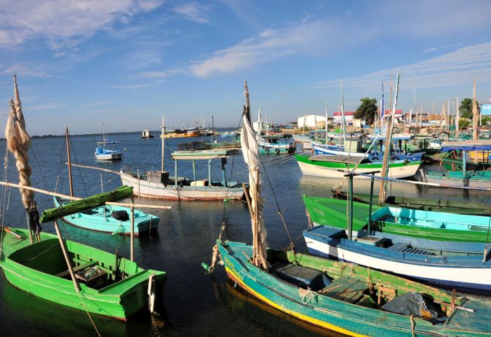 trinidad, casilda, pescaderia especializada, pesca