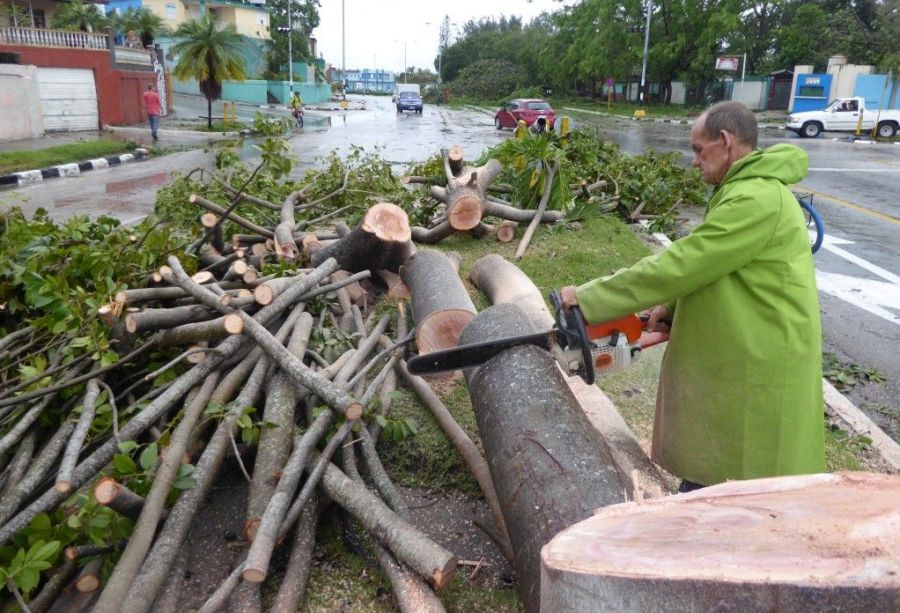 sancti spiritus, flora y fauna, poda de arboles, huracan irma, guardabosques