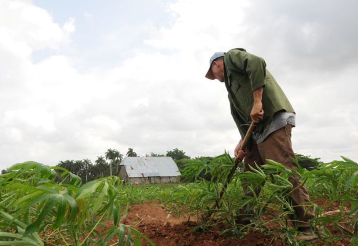 sancti spiritus, trabajadores agricolas, onat, oficina nacional de la administracion tributaria, agricultura, declaracion jurada