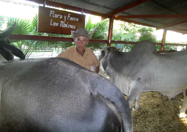 sancti spiritus, ganaderia, la sierpe, rodeo