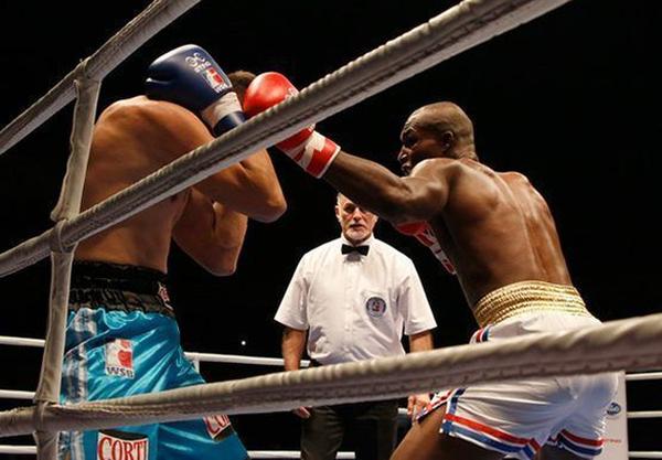 cuba, boxeo, serie mundial de boxeo, domadores de cuba