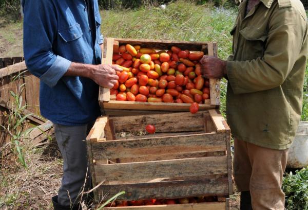 sancti spiritus, primero de mayo, primero de mayo en sancti spiritus, central de trabajadores de cuba, trabajo voluntario