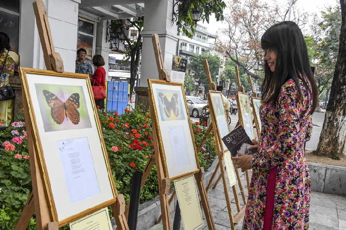 cuba, vietnam, heroes cubanos, antonio guerrero, pinturas, literatura