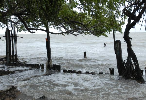 sancti spiritus, citma, tarea vida, cambio climatico, medio ambiente