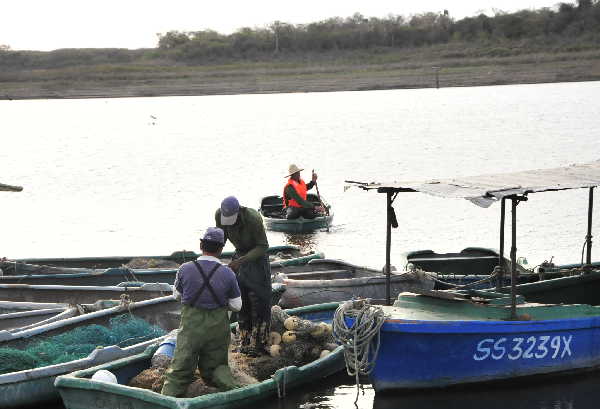 pesca, acuicultura, presa Zaza