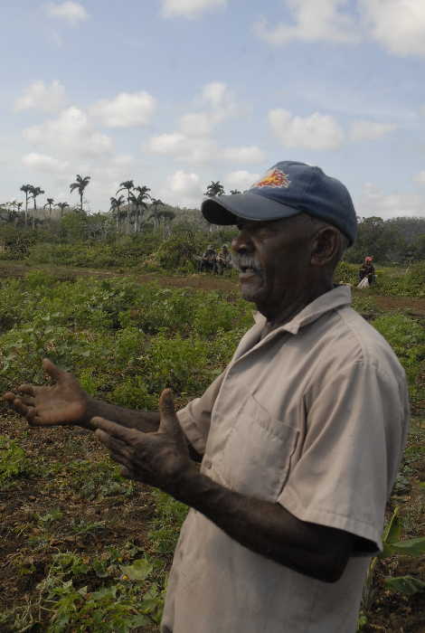 agricultura, sancti spíritus, yaguajay