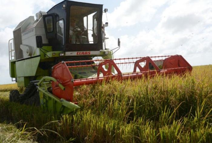 sancti spiritus, la sierpe, arrocera sur del jibaro, intensas lluvias