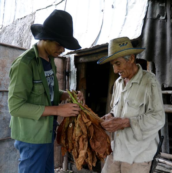 ANAP, campesino, Cabaiguán, Sancti Spíritus, 17 de mayo