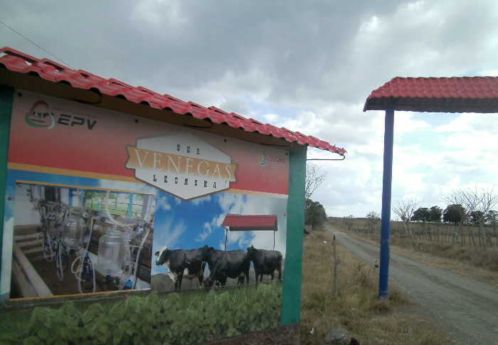 sancti spiritus, yaguajay, venegas, ganaderia, huracan irma