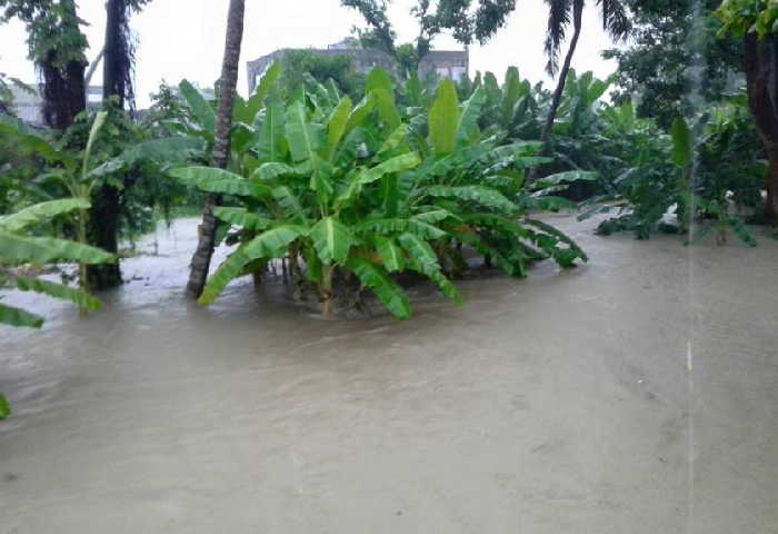 sancti spiritus, intensas lluvias en sancti spiritus, yaguajay, cultivos varios