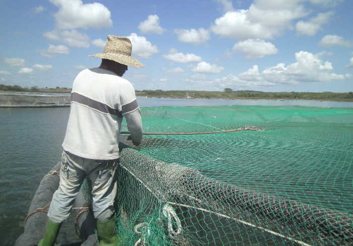 sancti spiritus, economia, el nispero, acuicultura