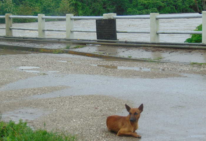 sancti spiritus, intensas lluvias en sancti spiritus, rio zaza, zaza del medio