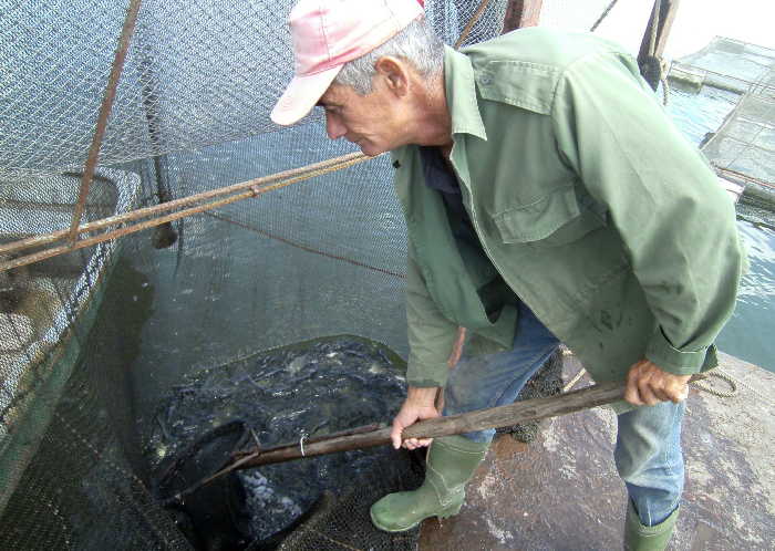 sancti spiritus, acuicultura, economia