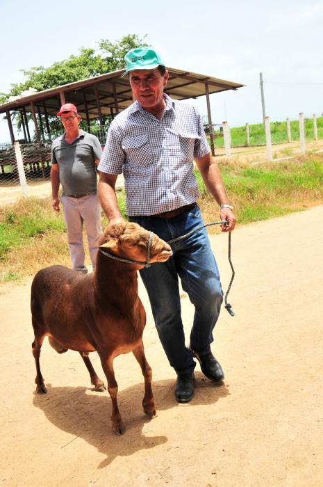 sancti spiritus, cai arrocero sur del jibaro, empresa agroindustrial de granos, la sierpe