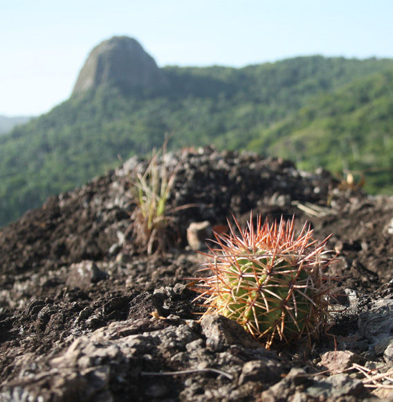 Piedra Gorda, senderismo, Flora y Fauna, Sancti Spíritus