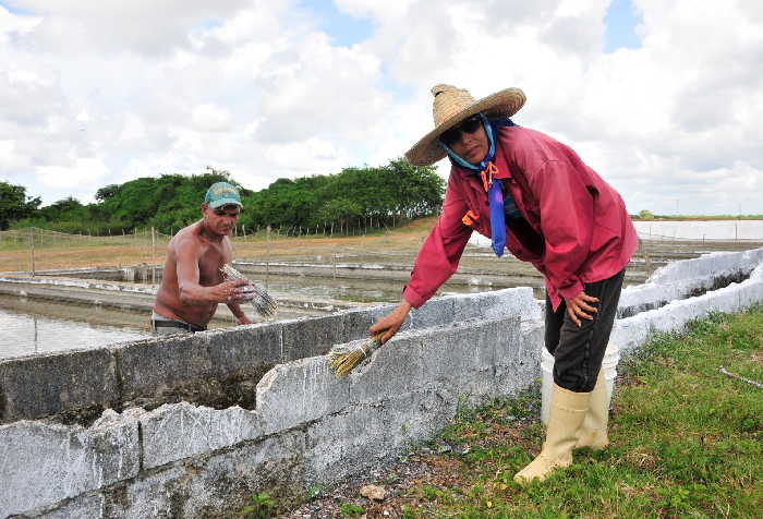 sancti spiritus, la sierpe, acuicultura, centro alevinaje de la sierpe, pesca