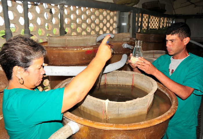 sancti spiritus, la sierpe, acuicultura, centro alevinaje de la sierpe, pesca