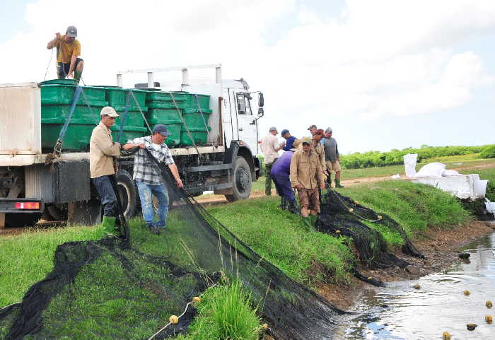 sancti spiritus, la sierpe, acuicultura, centro alevinaje de la sierpe, pesca