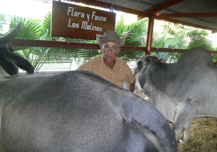 sancti spiritus, feria del cebu cubano, parque de ferias delio luna echemendia, carnavales