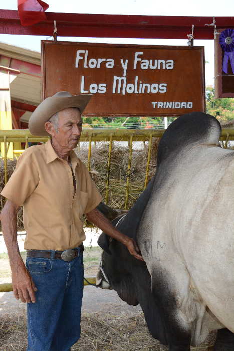 sancti spiritus, feria del cebu, flora y fauna