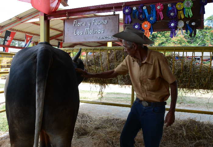 sancti spiritus, feria del cebu, flora y fauna