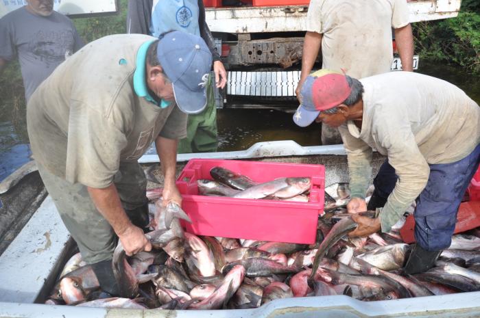 presa zaza, pescadores, sancti spiritus