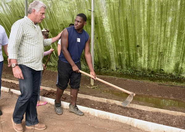 cuba, pinar del rio, miguel diaz-canel, presidente de cuba