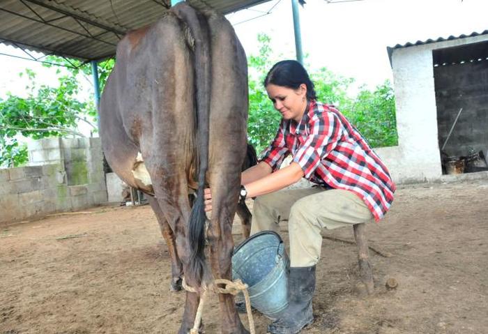 sancti spiritus, federacion de mujeres cubanas, fmc