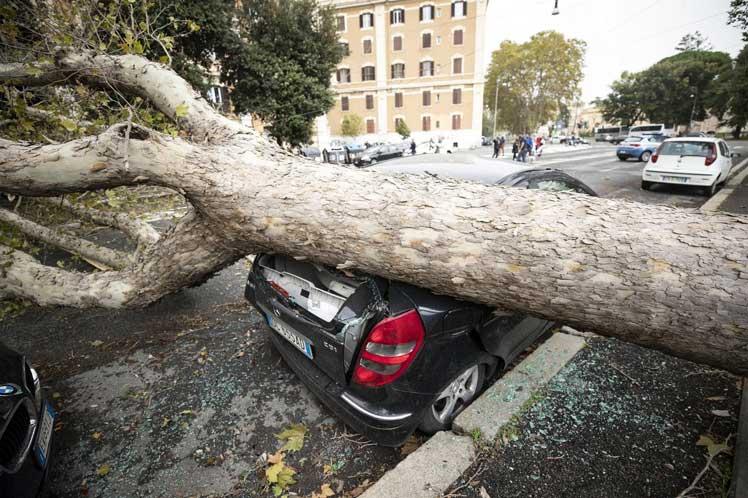 italia, desastres naturales, lluvia, muertes