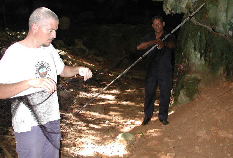 sancti spiritus, grupo sama, murcielagos, museo de historia natural, guamuhaya