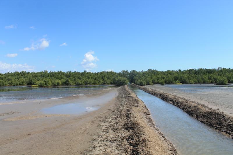 Sancti spiritus, parque nacional zaguanes, tarea vida, medio ambiente, citma, cuenca rio zaza, cambio climatico