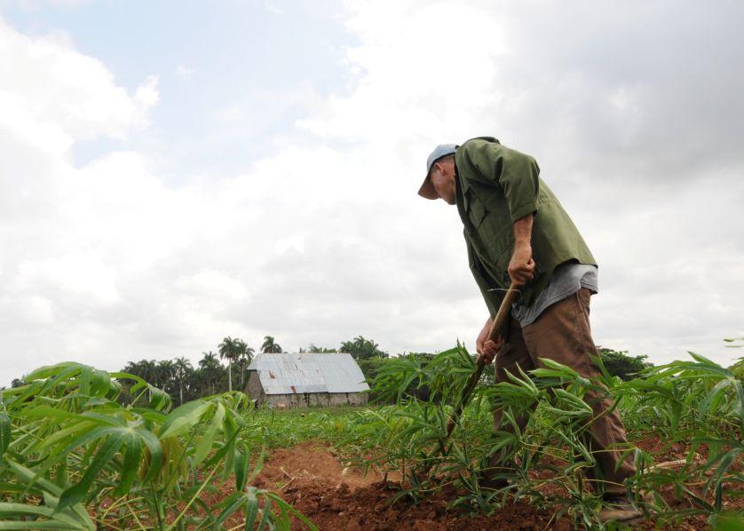 sancti spiritus, cooperativas, ley tributaria, agricultura