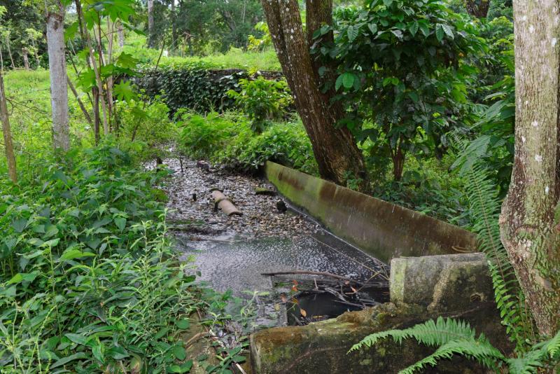 Fomento, rio agabama, medio ambiente, salud publica, recursos hidráulicos, cria de cerdos