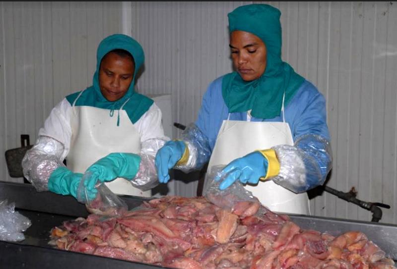 sancti spiritus, federacion de mujeres cubanas, fmc, X congreso de la fmc